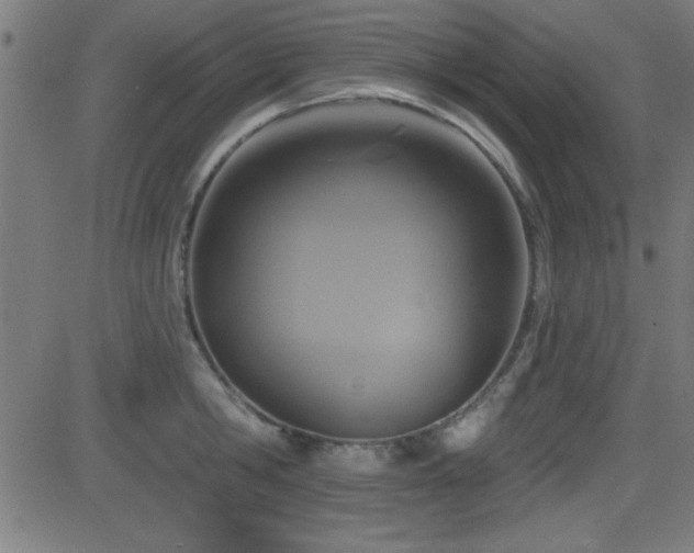 X0000081380806200701111451