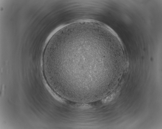 X0000081380811200701111450