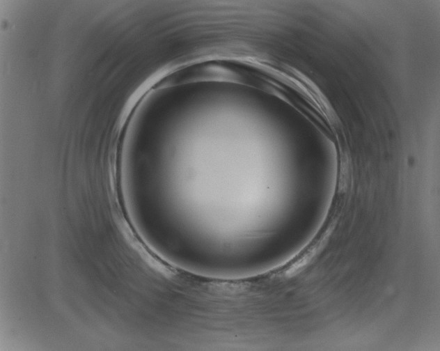 X0000081380812200701111450