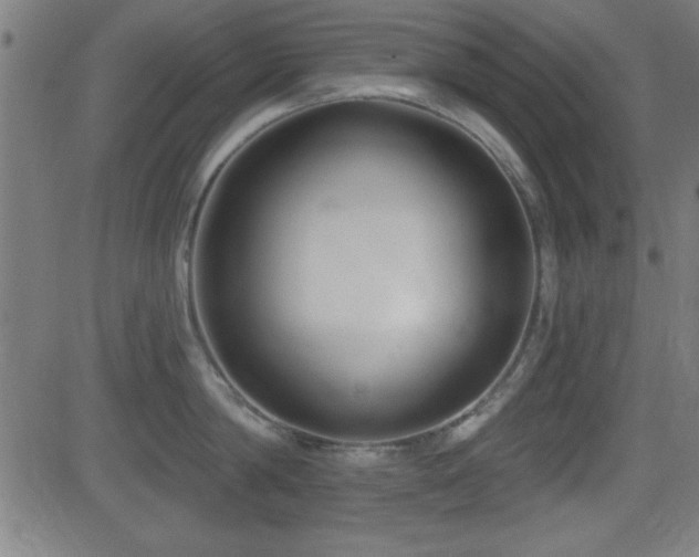 X0000081380814200701111450