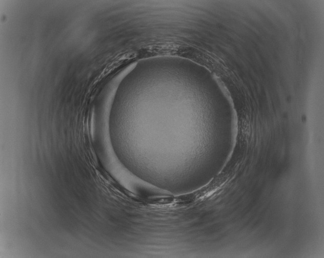 X0000081380818200701111450
