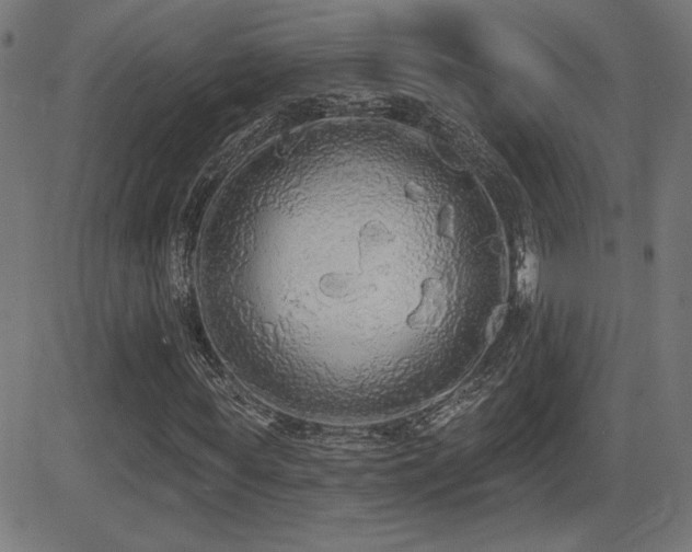 X0000081380819200701111450