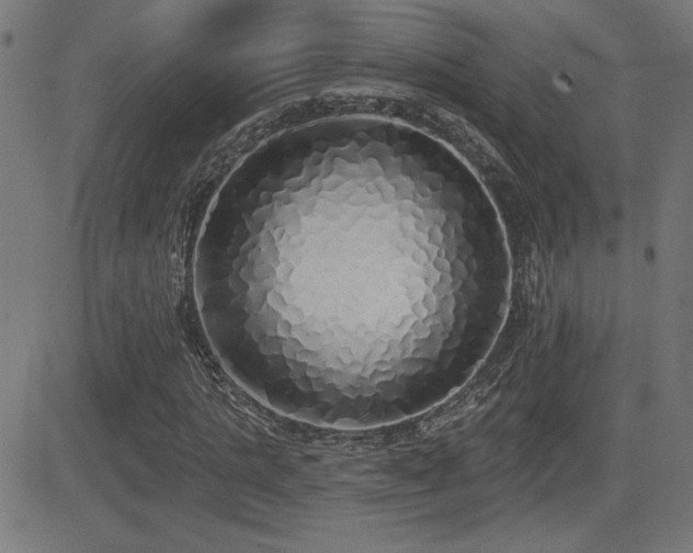 X0000081380821200701111450
