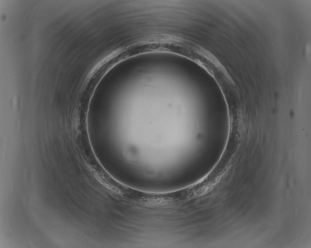 X0000081380826200701111450