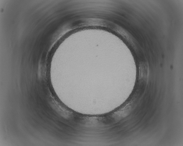 X0000081380828200701111450
