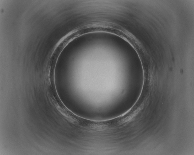 X0000081380830200701111450
