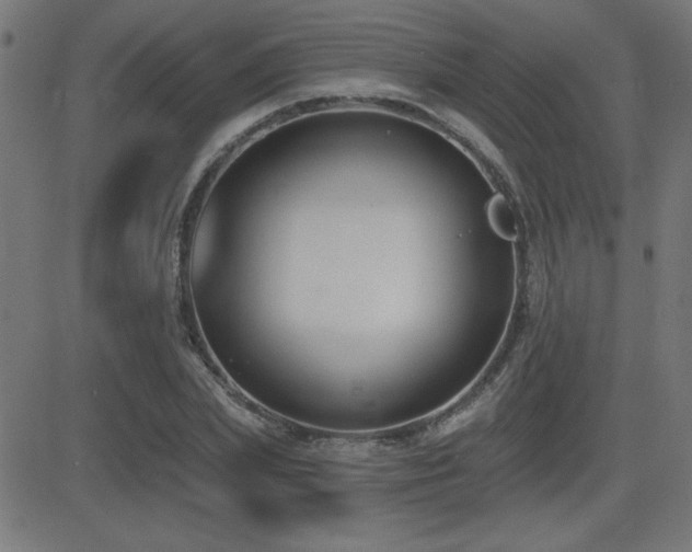 X0000081380831200701111450