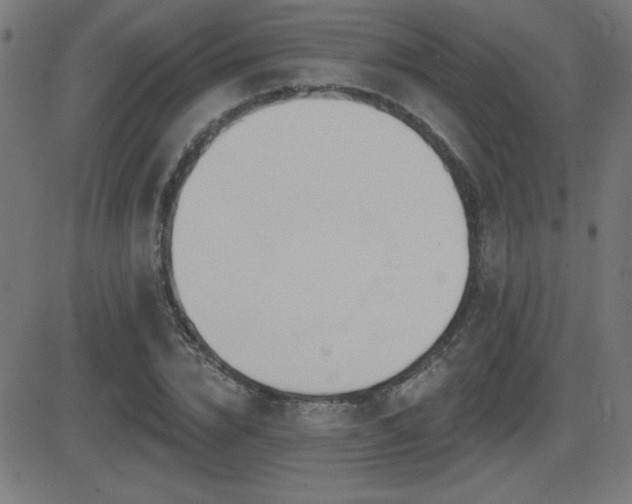 X0000081380832200701111450
