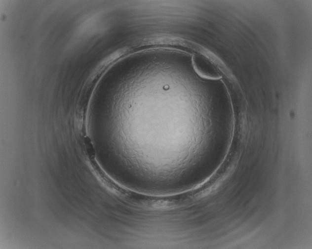 X0000081380841200701111450