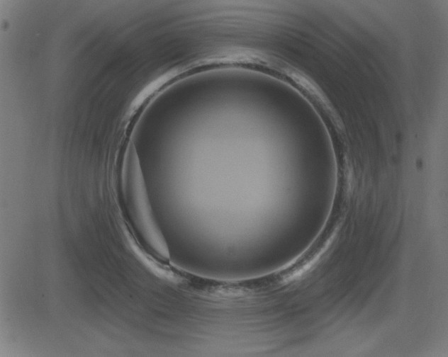 X0000081380842200701111450