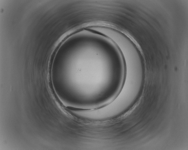 X0000081380845200701111450