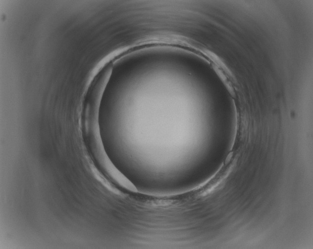 X0000081380846200701111450