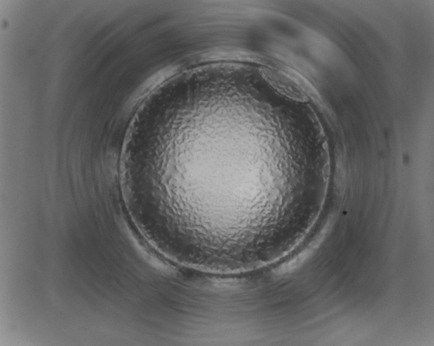 X0000081380849200701111450