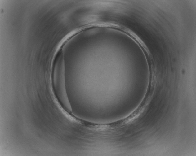 X0000081380853200701111450