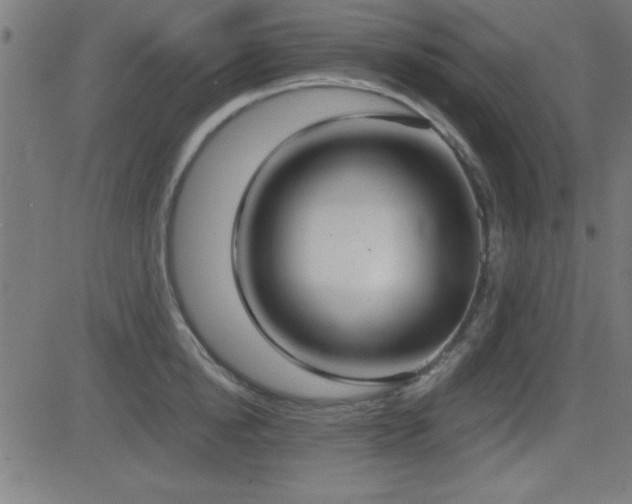 X0000081380854200701111450