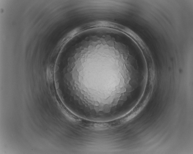 X0000081380857200701111450