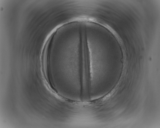 X0000081380864200701111450