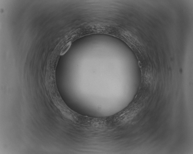 X0000081380865200701111450