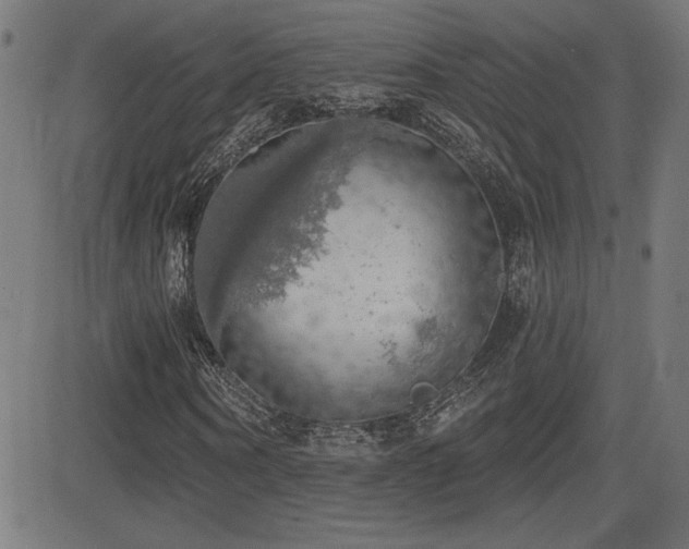 X0000081380866200701111450