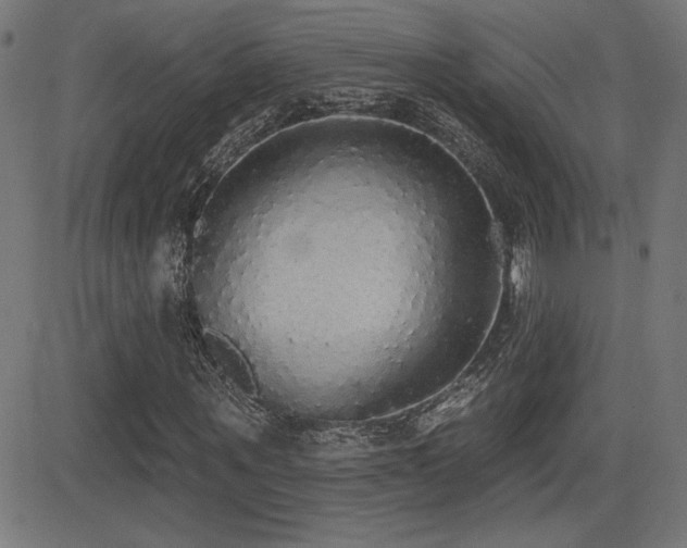 X0000081380867200701111450