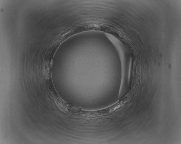 X0000081380868200701111450