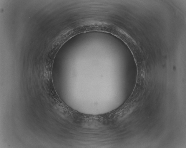 X0000081380869200701111450