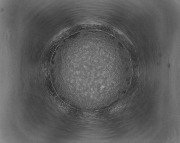 X0000081380870200701111450
