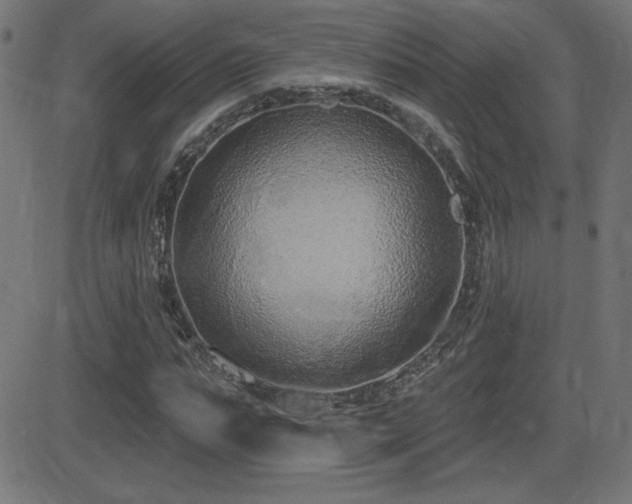 X0000081380871200701111449