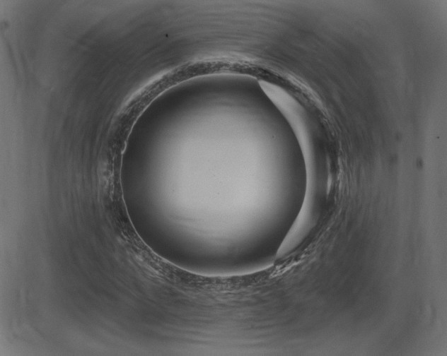 X0000081380872200701111449
