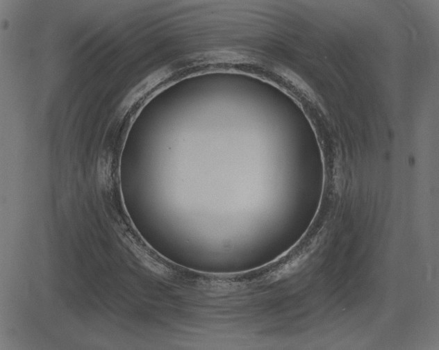 X0000081380873200701111449