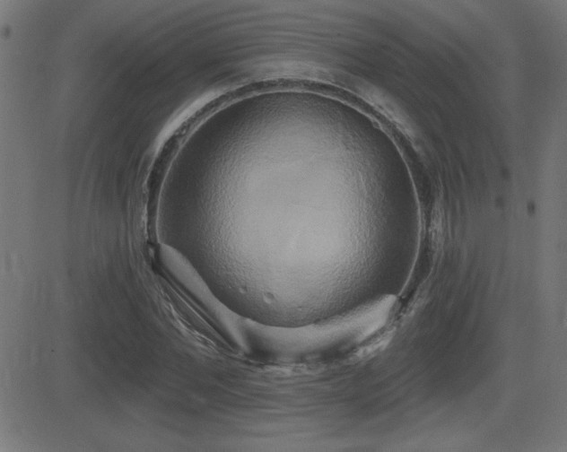 X0000081380877200701111449