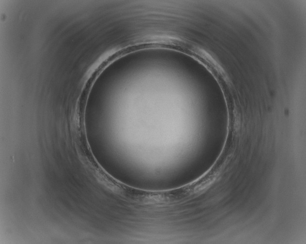 X0000081380883200701111449