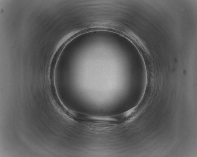 X0000081380884200701111449