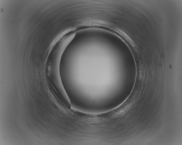 X0000081380885200701111449