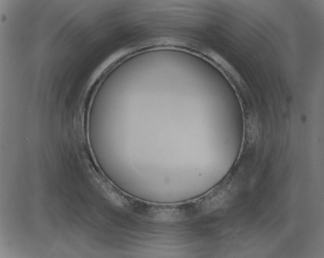 X0000081380886200701111449