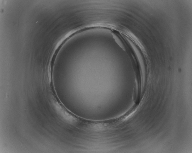 X0000081380892200701111449