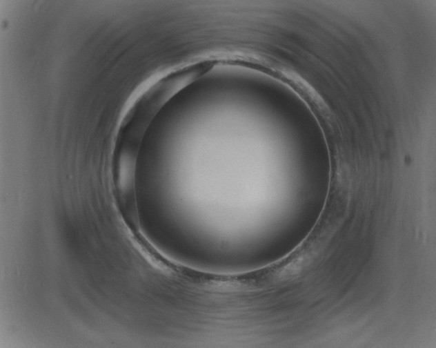 X0000081380894200701111449