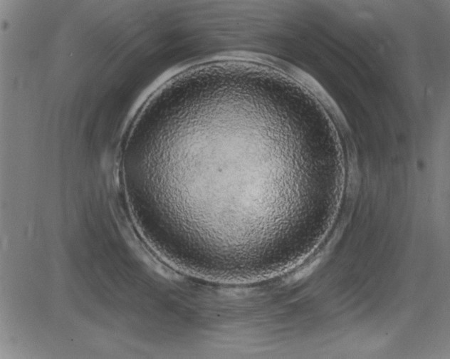 X0000081380908200701111449