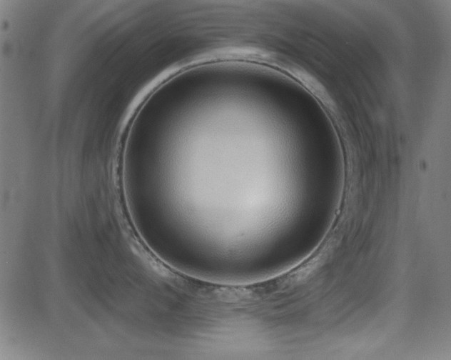 X0000081380912200701111449