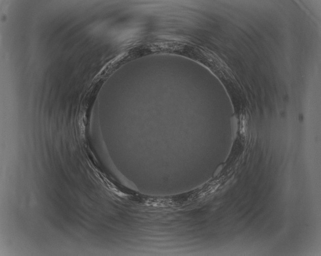 X0000081380915200701111448