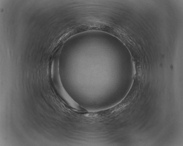 X0000081380916200701111448