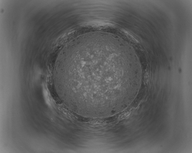 X0000081380917200701111448