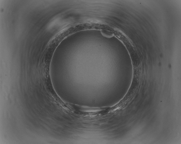 X0000081380919200701111448