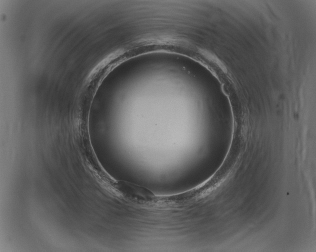 X0000081380922200701111448