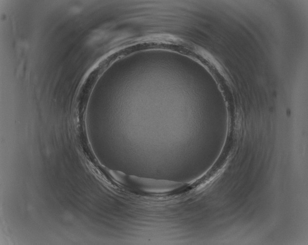 X0000081380923200701111448