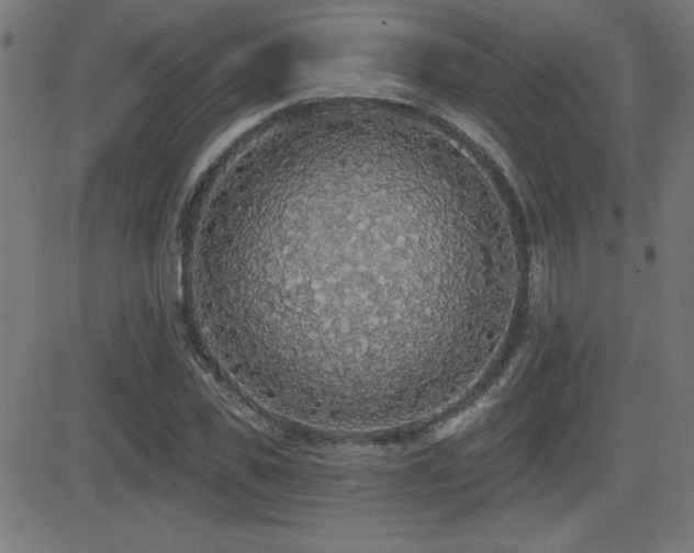 X0000081380925200701111448