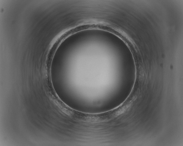 X0000081380927200701111448