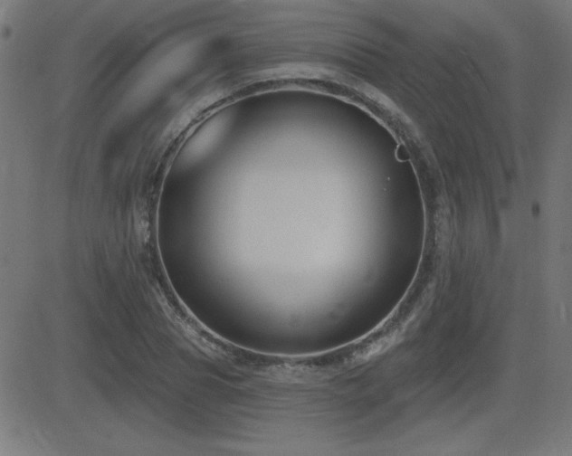 X0000081380929200701111448