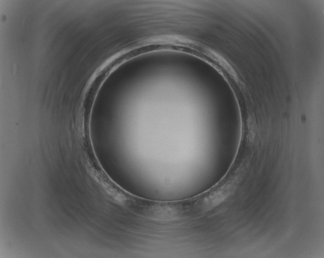 X0000081380931200701111448