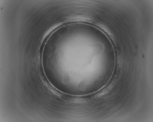 X0000081380933200701111448